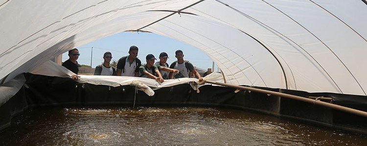 Visita a Estação de Piscicultura