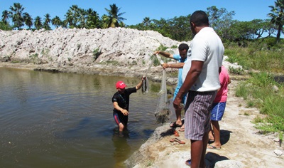 Projeto de extensão cria peixes em área de reuso