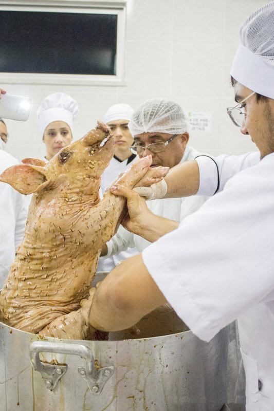 Foto tecnologia em gastronomia 4