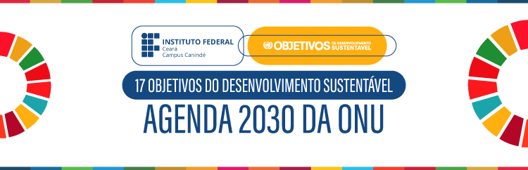 17 ODS Agenda 2030 Banner Capa.png