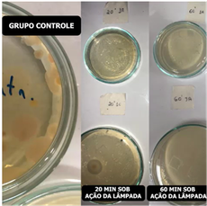 Os resultados apresentaram uma redução da presença de microrganismos no ambiente, comparado ao grupo controle.