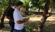 Equipe realizou mapeamento das espécies