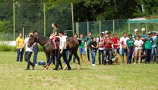 Yasmin participou de uma demonstração de equoterapia.