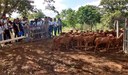 A Embrapa Caprinos e Ovinos recebeu os estudantes.