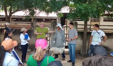 35 alunos de Zootecnia participaram do dia de campo.