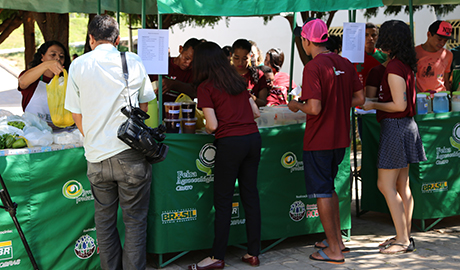 Feira agroecológica