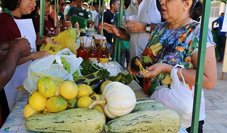 Feira agroecológica