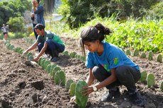 São 30 vagas para o curso técnico em Agropecuária no Crato.