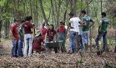 Estudantes foram a campo para produzir mudas.