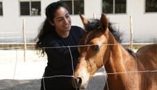 Criação de cavalos é tema de minicurso.