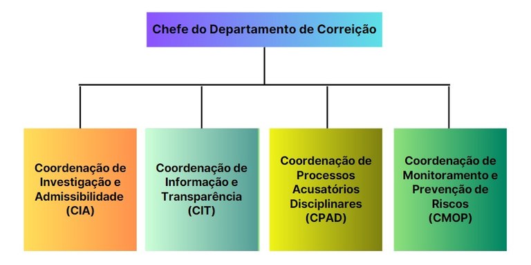 organograma interno.jpeg