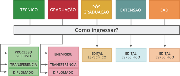 Infográfico cursos.png