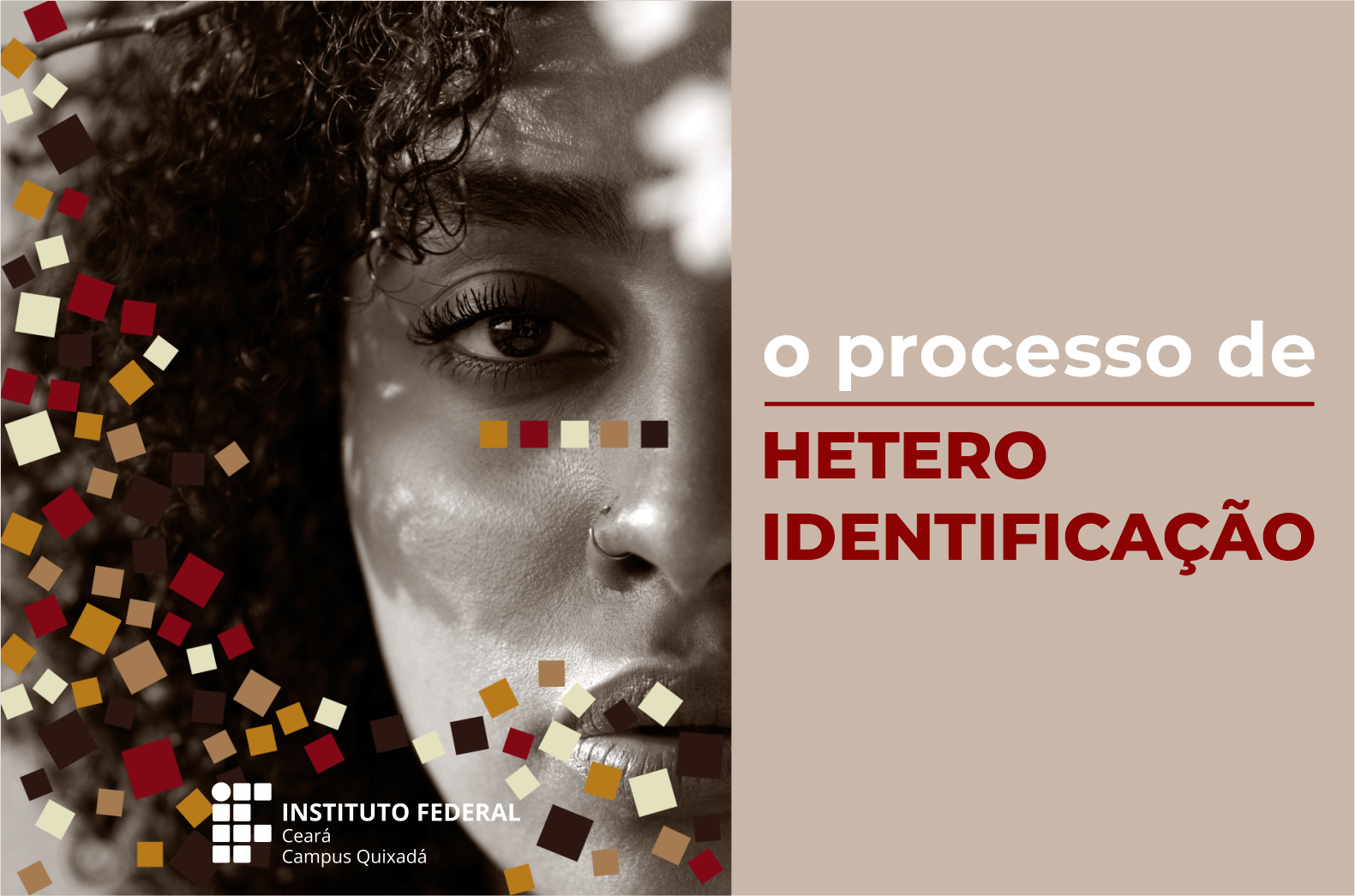 botão o processo de heteroidentificação.png