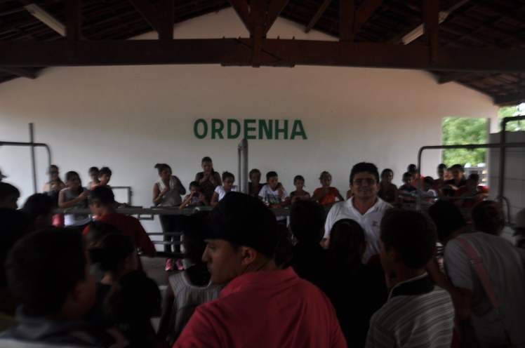 Ordenha