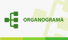 organograma-branco.png