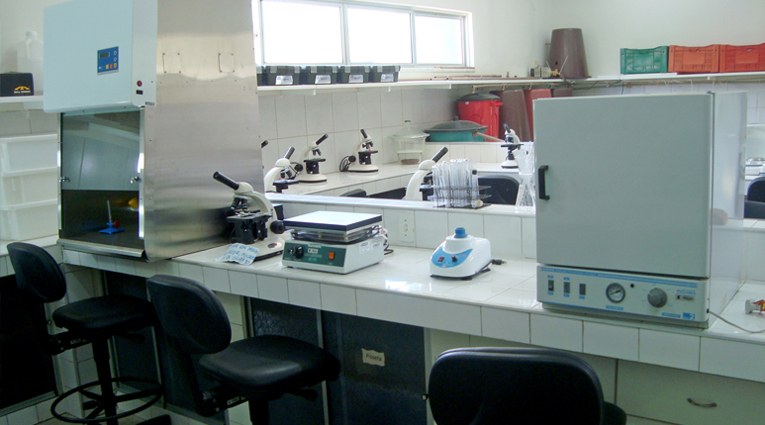 Laboratório2.jpg