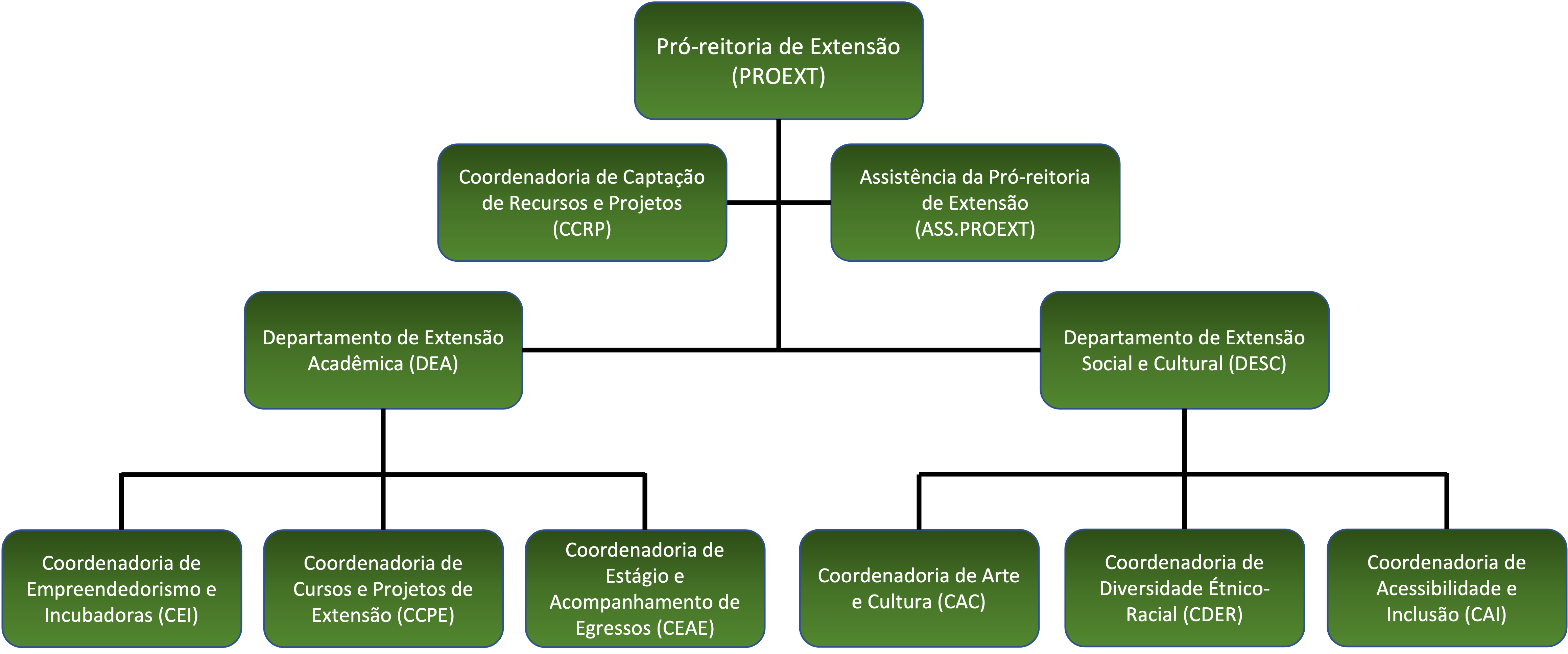 Organograma-2022