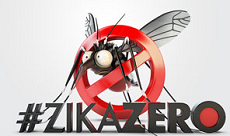 Zika Zero.png