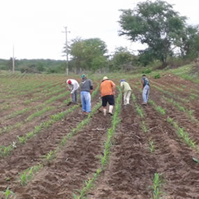 04_06_Sistema ILP Tauá_site.jpg