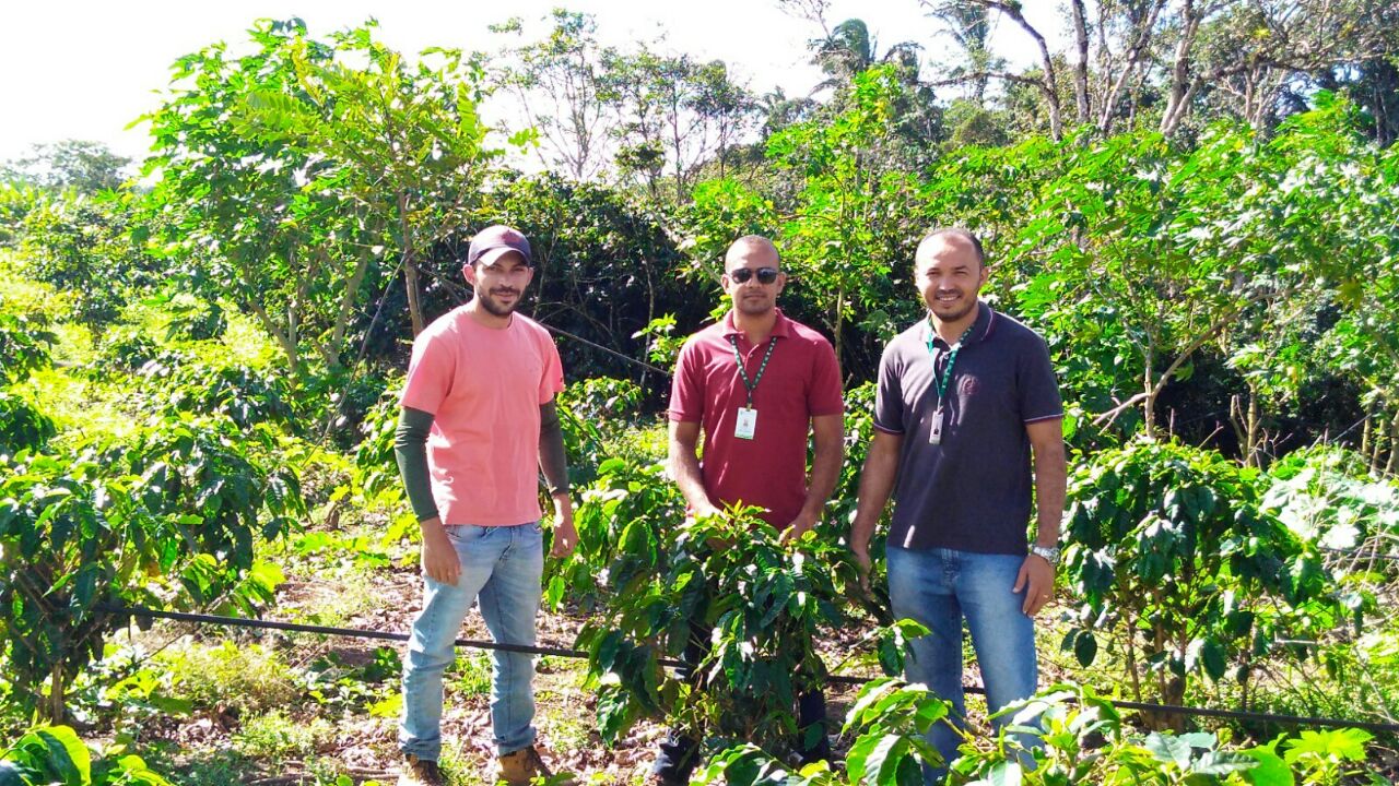 Professores visitam fazenda de produção de café