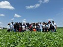 Estudantes visitam Vale do São Francisco