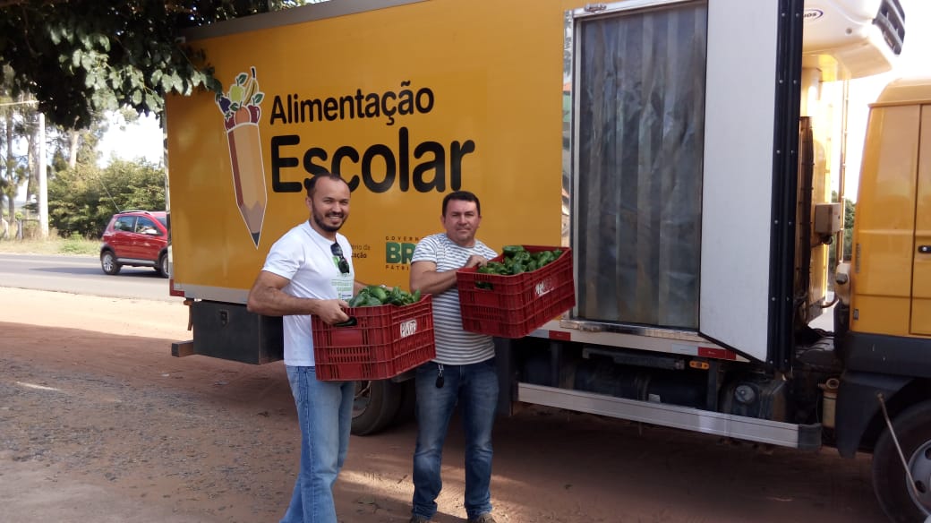 Doação de cultivo de pimentões