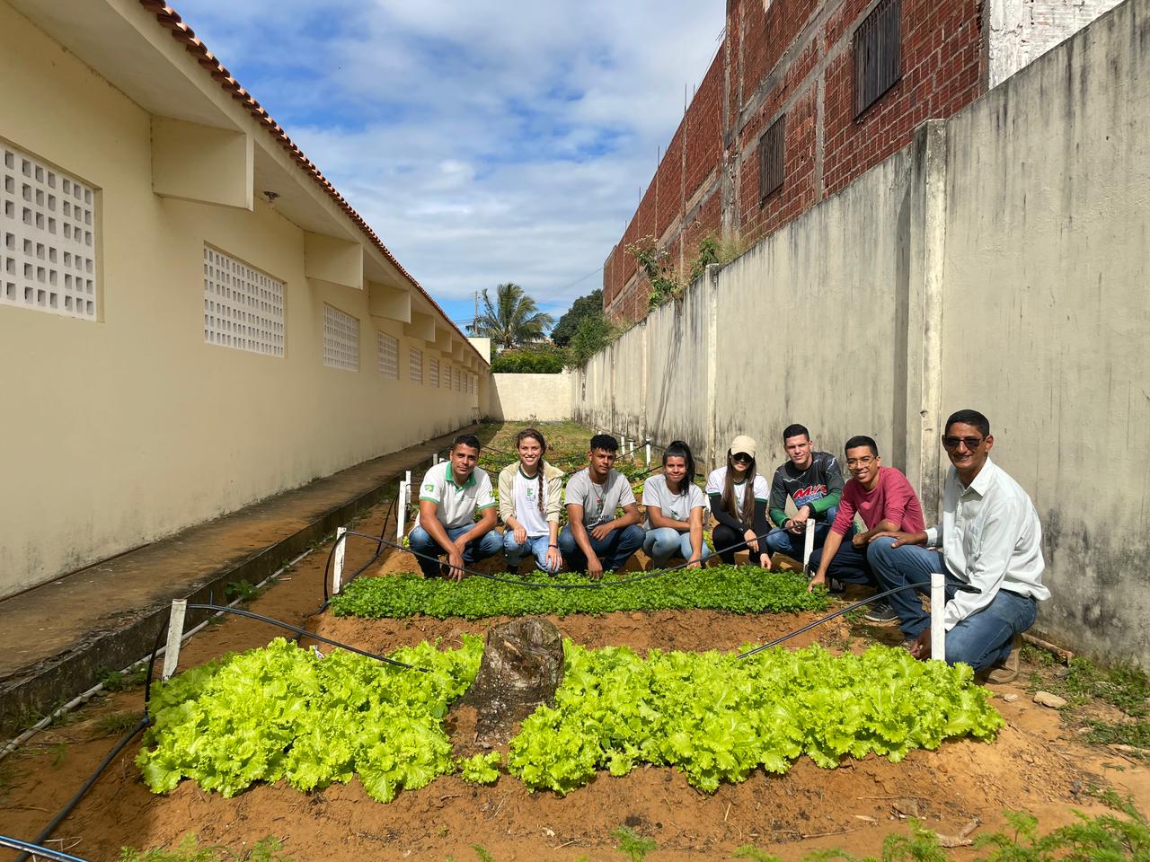 Horta plantada na Escola Cívico-Militar Marcella