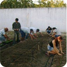 Aula prática de Agricultura