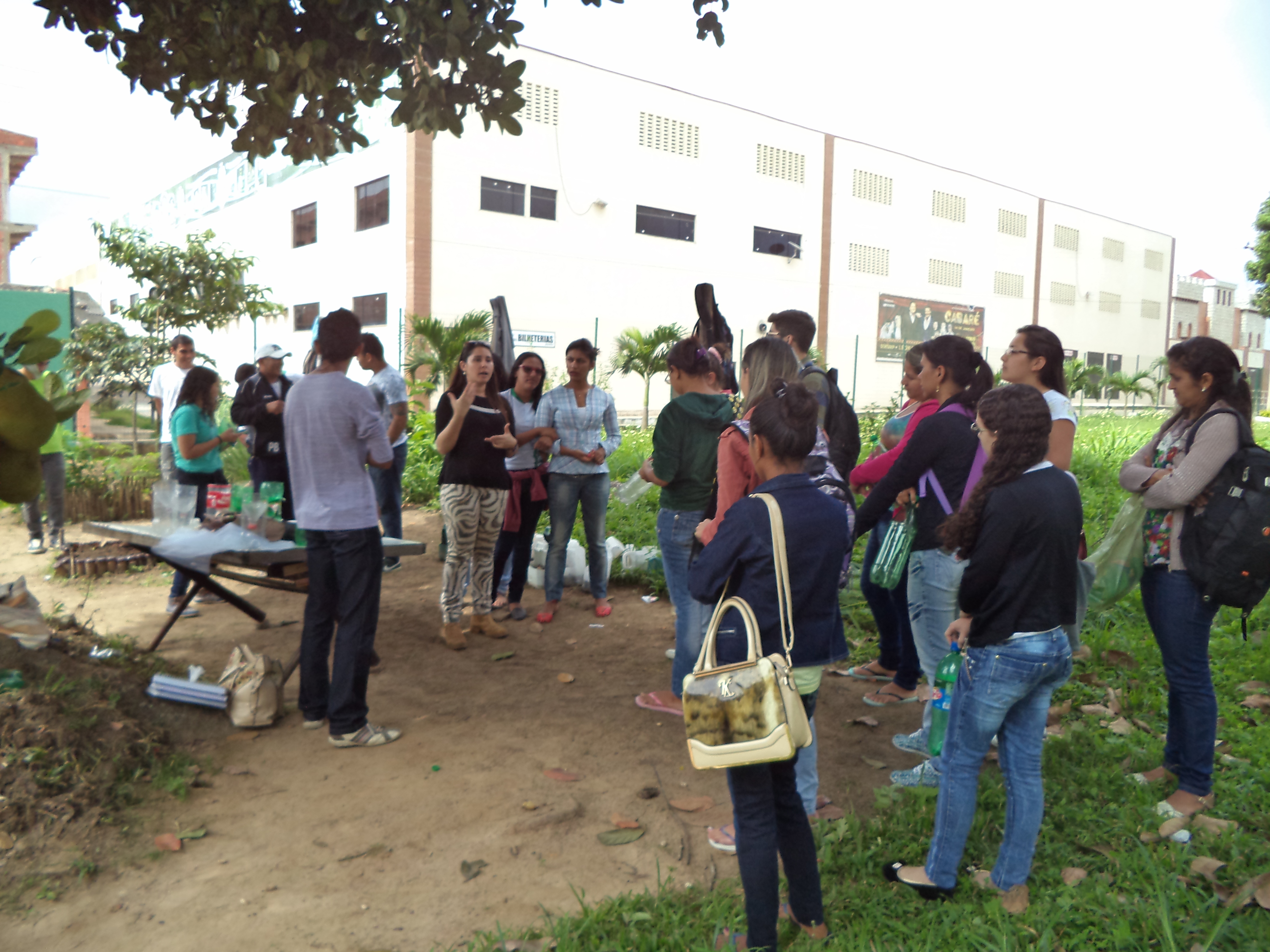 Alunos constroem mosquiteiras no campus de Ubajara